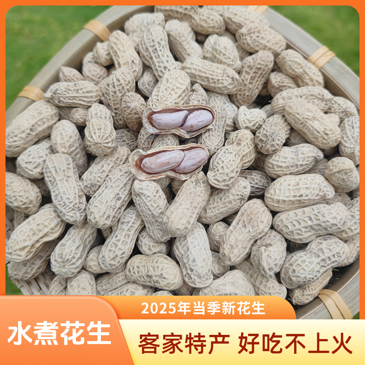 正宗忠信水煮咸干花生农家花生客家白玉自然晒干好吃不上火包邮