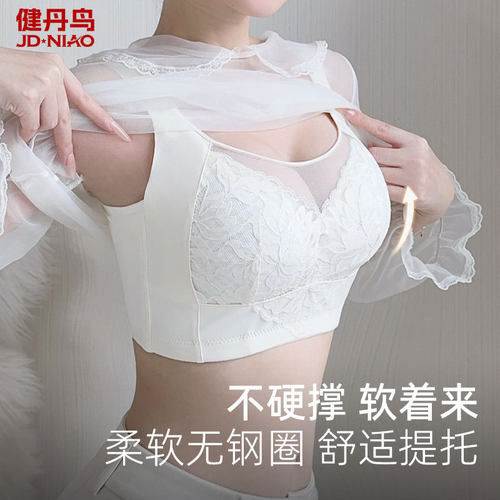健丹鸟大码调整型大胸显小内衣女反重力上托防下垂收副乳聚拢文胸