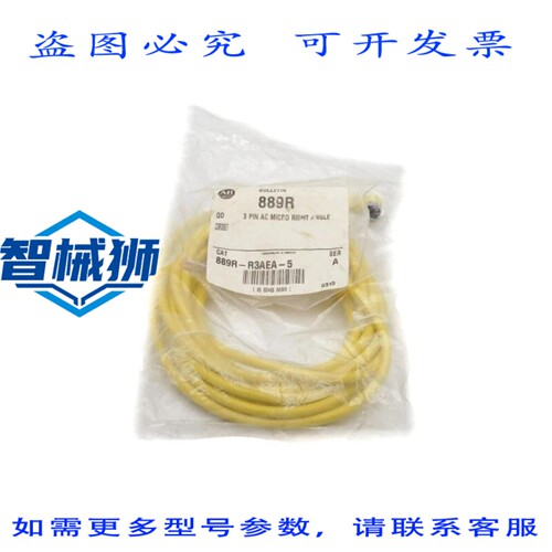原装供应 罗克韦尔AB 889R-R3AEA-5 SER.A NSMP