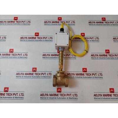 原装供应Flotect V6EPB-BD-4-B-CV-GL Flotect 流量开关 103000A0