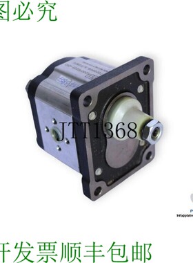 原装供应OT OT200P08 S/P28P2 齿轮泵 / 250 Bar 齿轮泵 - 8.2 cc