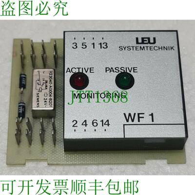 LEU SYSTEMTECHNIK WF 1-S 监测装置