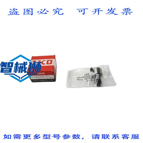 原装供应 IKO CF6BUUR 19毫米 NSMP