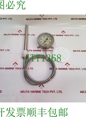 原装供应Rueger en13190 cl.1 温度计 50-650&deg;c