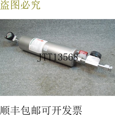 原装供应ENTEGRIS GATEKEEPER HYDRIDE 气体净化器 CE2500KHSK8R,