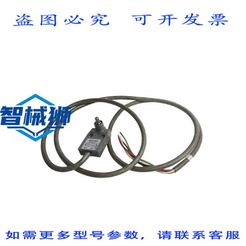 原装供应 RITE HITE 65441 125-250VAC 5A NSNP