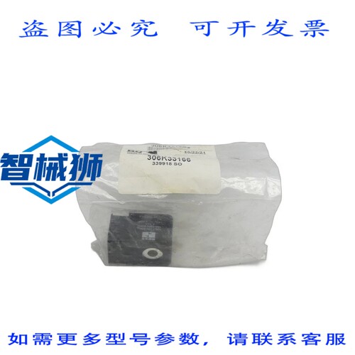 原装供应 ROSS 306K33166 100-120V NSMP
