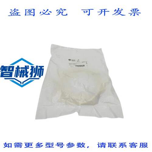 原装供应 罗克韦尔AB 889P-F3AB-2 SER.B NSMP