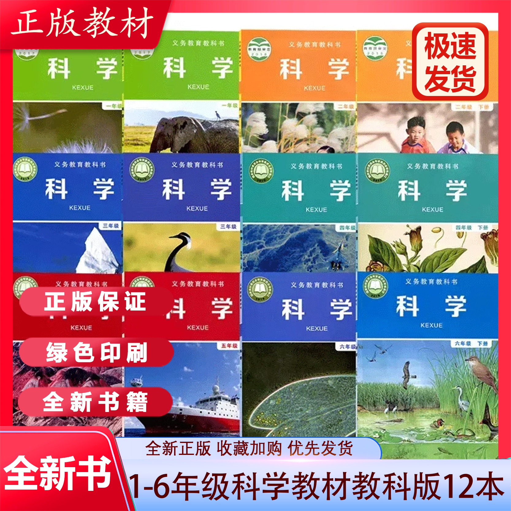 【可单选】2023教科版小学科学+活动手册一二三四五六年级上下册全套装24本课本教材教科书教育科学出版社教科版科学1-6年级上下册-封面