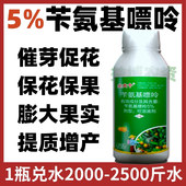 5%苄氨基嘌呤催花芽分化膨大保花保果细胞分裂素叶面肥生长调节剂