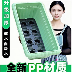 阳台种菜盆自吸水家用种菜专用盆加厚加大长方形塑料蔬菜种植花盆
