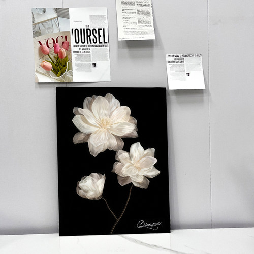 电视柜斗鞋柜装饰画摆件现代轻奢