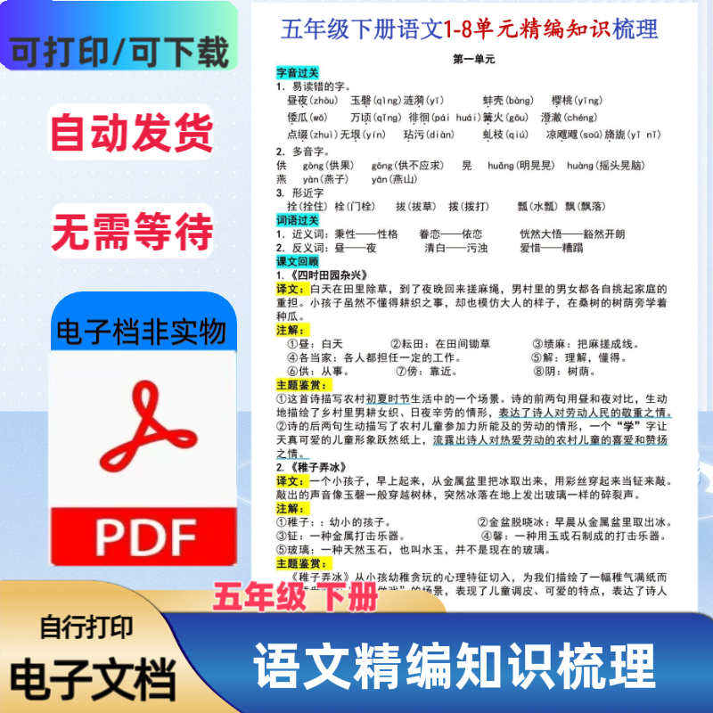 小学五年级下册语文精编知识梳理1-8单元知识点梳理PDF电子版