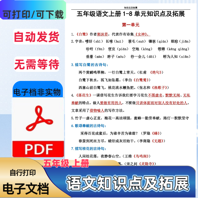 部编人教版五年级上册语文1-8单元知识点梳理及拓展PDF电子档