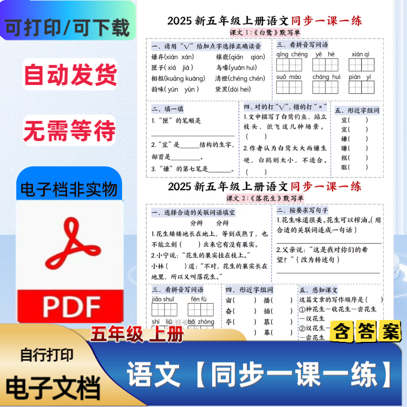 人教版五年级上册语文同步一课一练课本1-26课知识点PDF电子档