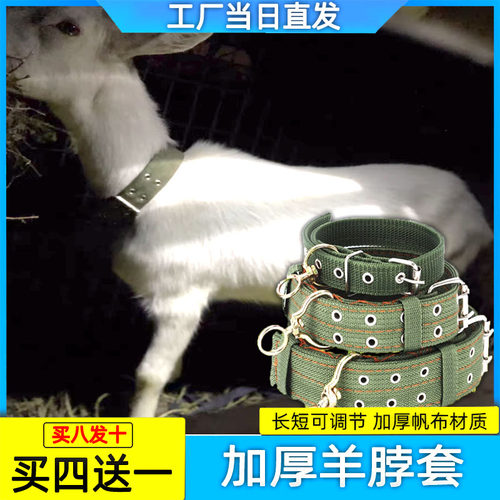 羊项圈脖套带铃铛转环全国通用