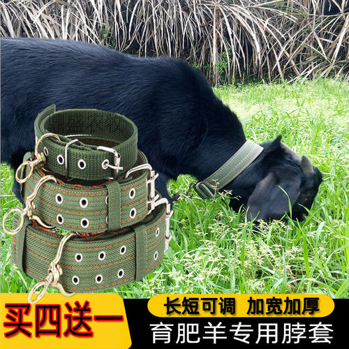 羊项圈脖套山羊羊颈圈脖买四送一