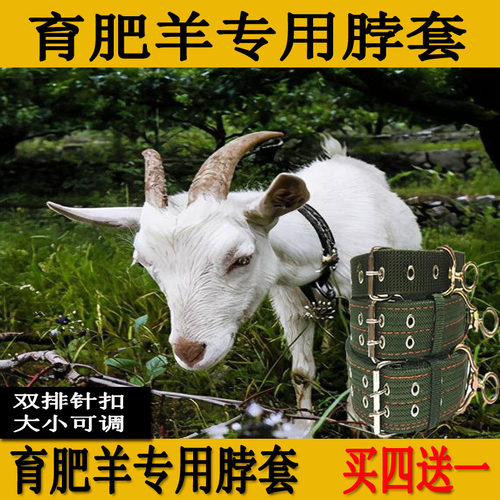 羊脖套项圈栓羊绳育肥羊脖套铃铛