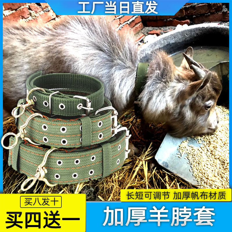 加厚耐磨羊狗牵羊绳颈圈