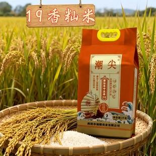 潮尖19香水稻优质籼型常规稻大米新米象牙香占10斤装不抛光无打蜡
