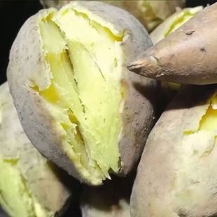 广东潮汕农家自种鸡蛋薯地瓜白皮黄心番薯板栗红薯果园直销新鲜