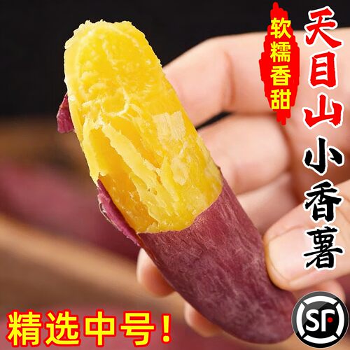 临安天目山小香薯新鲜精选中号