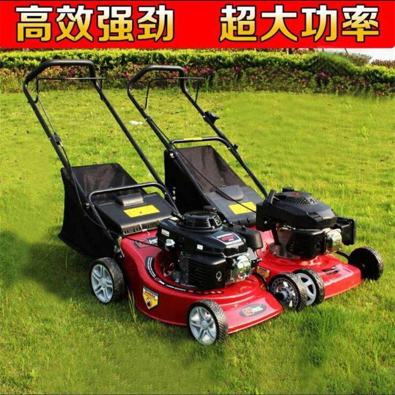 全国发公货汽油手QQR推草坪机20大草寸袋收草机园球场用自走割草
