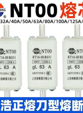 正浩R031 RT16-00 NT00熔断器gL100A 80A 63A 50A 32A陶瓷保险管