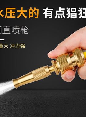 高压洗车水枪家用套装铜直喷枪浇花冲洗地工具汽车工具四季软管