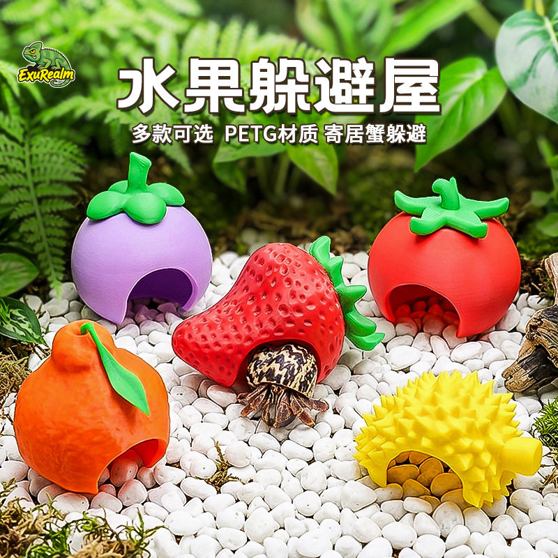 水果寄居蟹躲避屋蜘蛛角蛙守宫螃蟹蜗牛爬虫树桩洞组合造景摆件