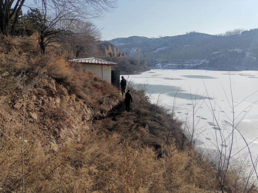 5982.26亩林地使用权及该林地的森林或林木所有、使用权处置