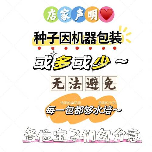 老师推荐学生幼儿园观察植物成长水培豆子科学儿童实验作业套装