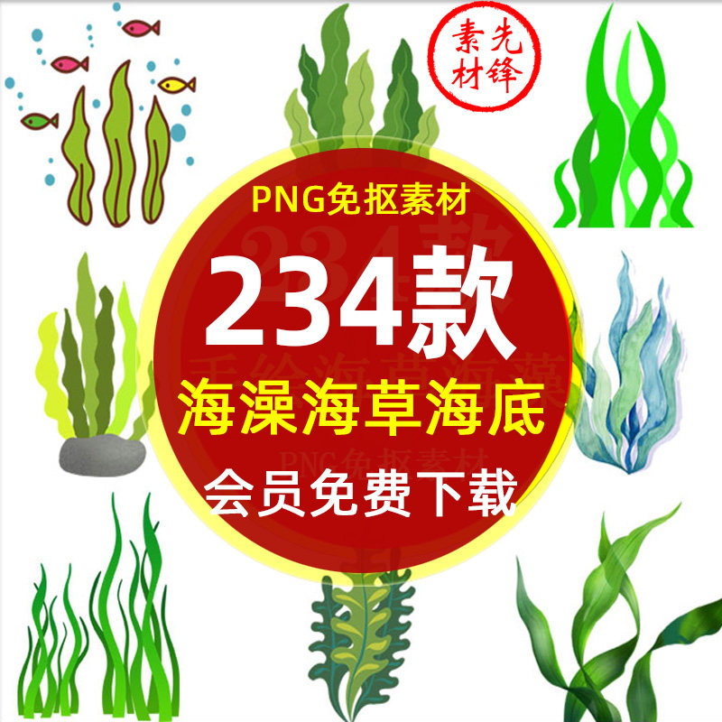 卡通手绘海草海藻海底植物海洋世界png免抠图片 海草海藻插图素材