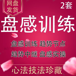 炒股票视频教程盘感训练实战落地应用盘感选股实操心法技法李动无