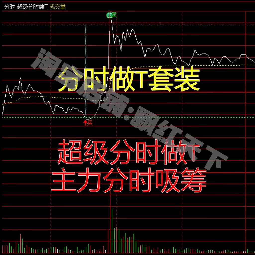 通达信 分时做T套装 超级分时做T+庄无遁形+超级顶底+选股器 绝密