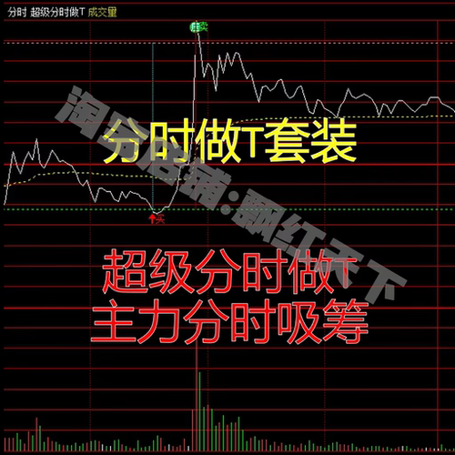 通达信 分时做T套装 超级分时做T+庄无遁形+超级顶底+选股器 绝密