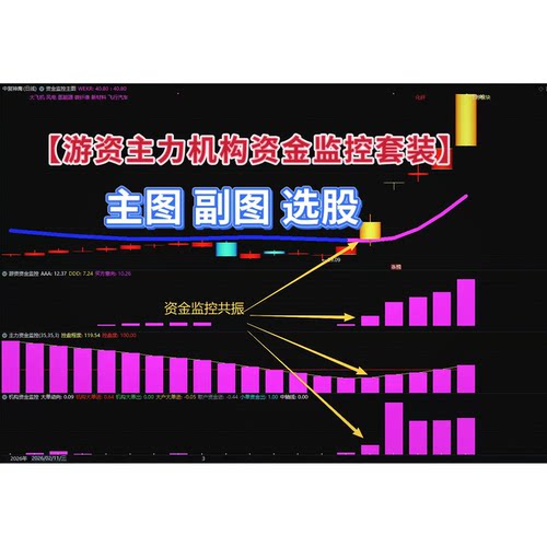 资金监控公式游资主力资金监控机构实时资金监控共振指标套装