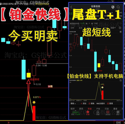 铂金快线尾盘强势低吸趋势套利短线牛股涨停战法支持手机电脑使用