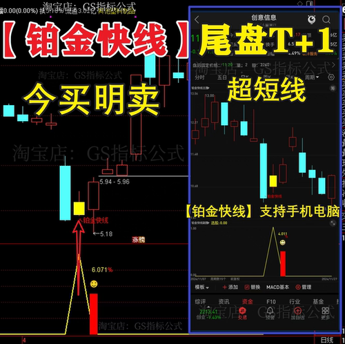 铂金快线尾盘强势低吸趋势套利短线牛股涨停战法支持手机电脑使用