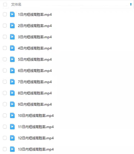 日内波段短线高胜率战法实战交易策略技术高清视频教程期货干货课