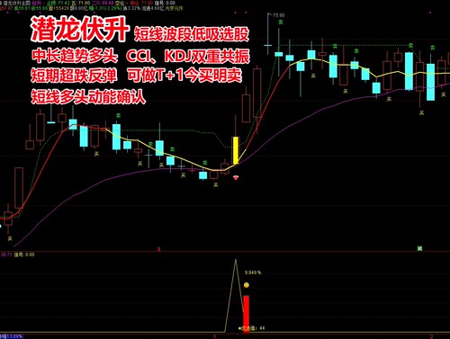 潜龙伏击尾盘选股指标通达信T+1今买明卖短线高胜率抄底擒牛手机