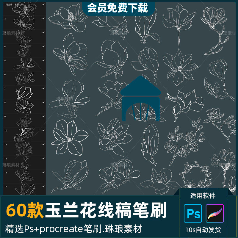 procreate笔刷ps画笔玉兰花卉线稿线描手绘植物花簇插画练习绘画