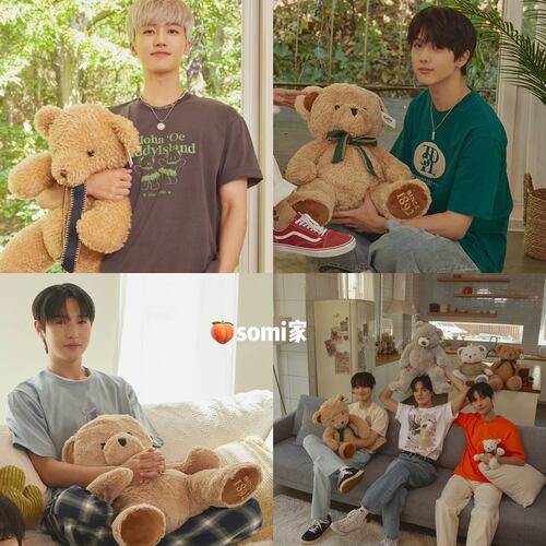 【现货】somi家 韩国teddyisland NCT DREAM泰迪熊短袖T恤 送小卡