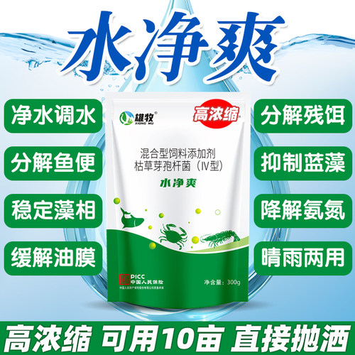 水净爽枯草芽孢杆菌鱼塘水质净化