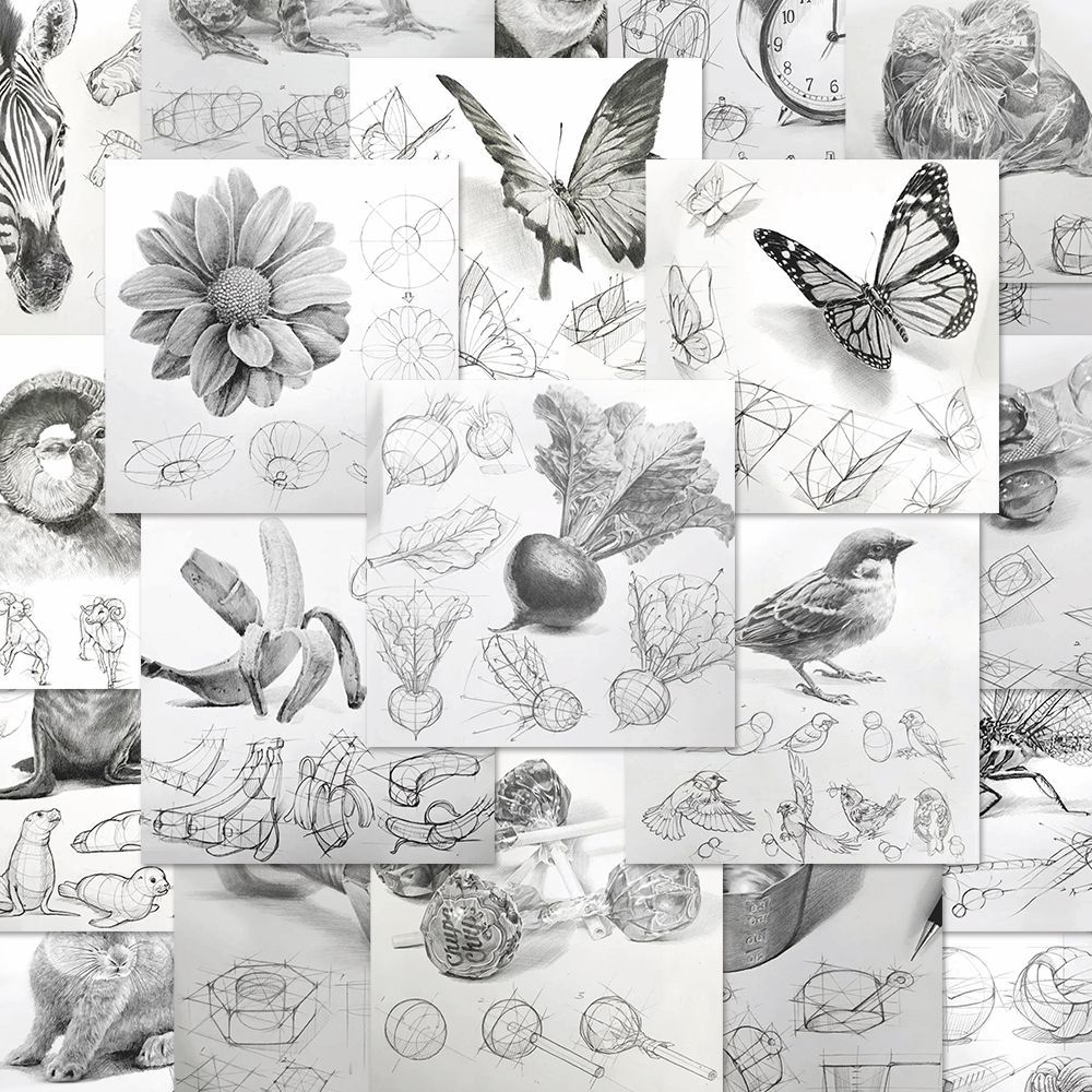 96张美术生结构素描教程贴纸学画画基础素描笔记本贴画防水diy