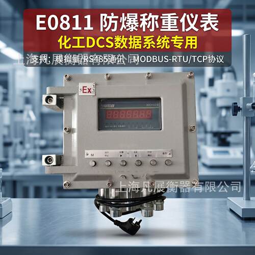 优E0811防爆称重地磅量程1吨2吨吨（RS485/4-20mA/开关量等）