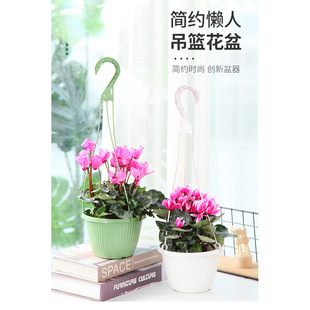 绿萝专用室内花盆 小果汀B165垂钓挂钩吊篮花盆全新料悬挂式