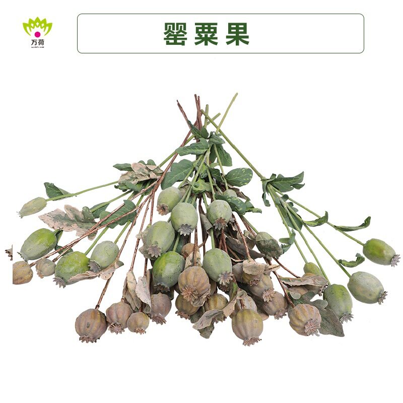 万荷仿真植物 单枝罂粟果 家居摆设浆果客厅酒店大堂装饰泡沫果