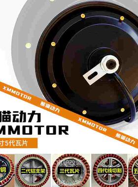 熊猫电机10寸1000W1200W1500W2000W3000W40005000W瓦片电摩大功率