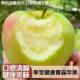 苹果 应季 绿皮孕妇水果脆甜多汁 纯甜无酸 山东青森水蜜桃苹果